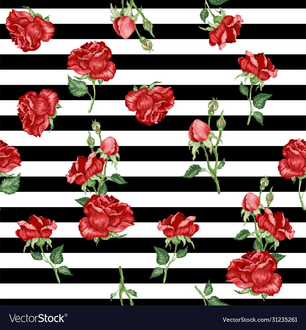 With roses and stripes Royalty Free Vector Image