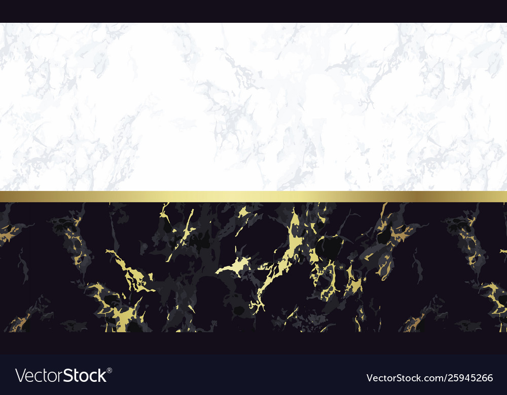 Black And White Marble Background With Gold Vector Image