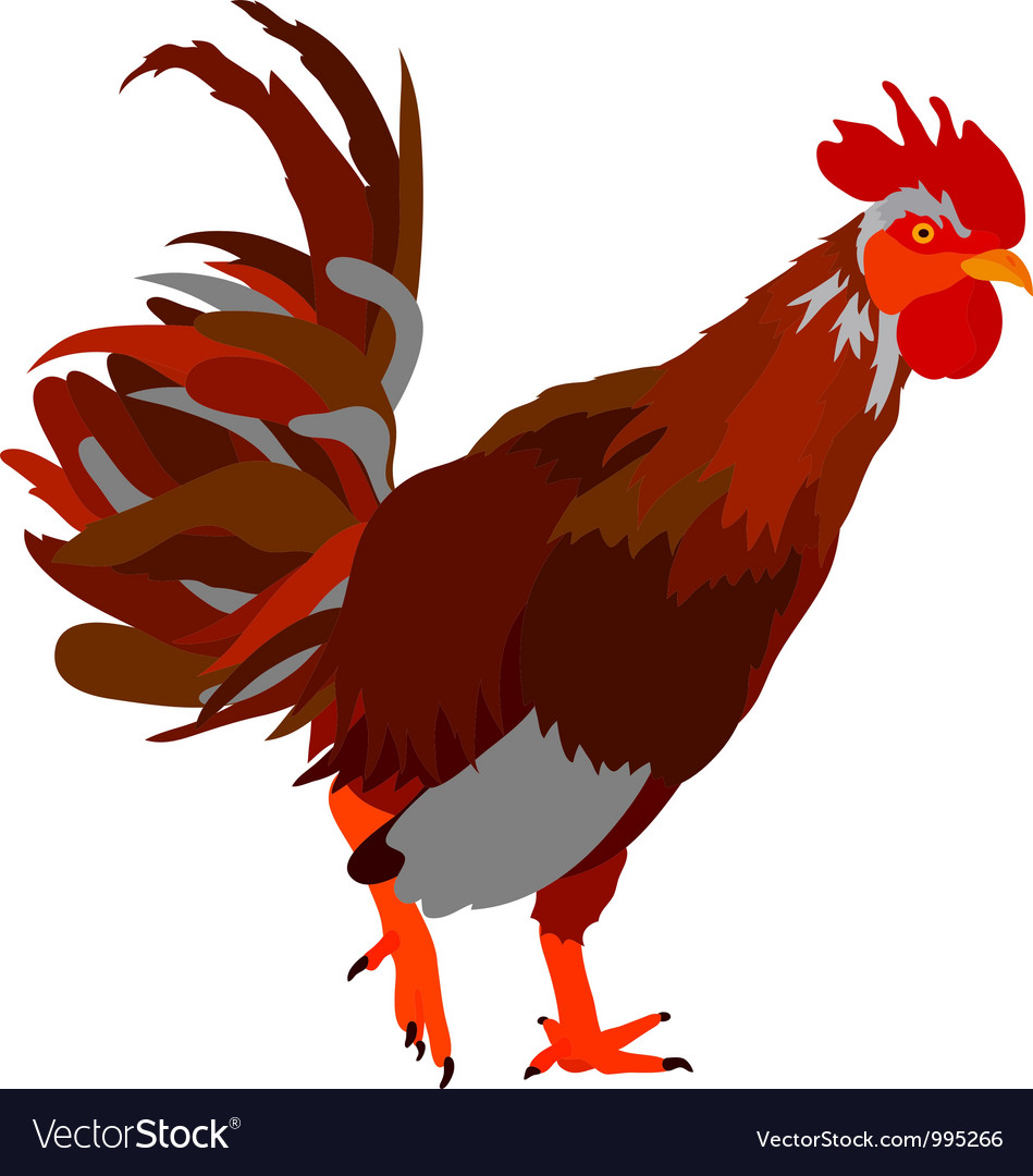 Cock