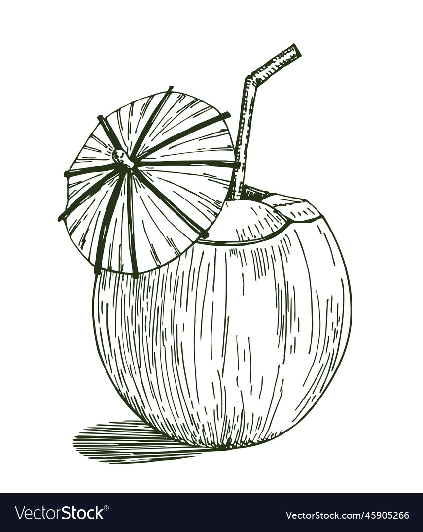 Cocktail of coconut sketch