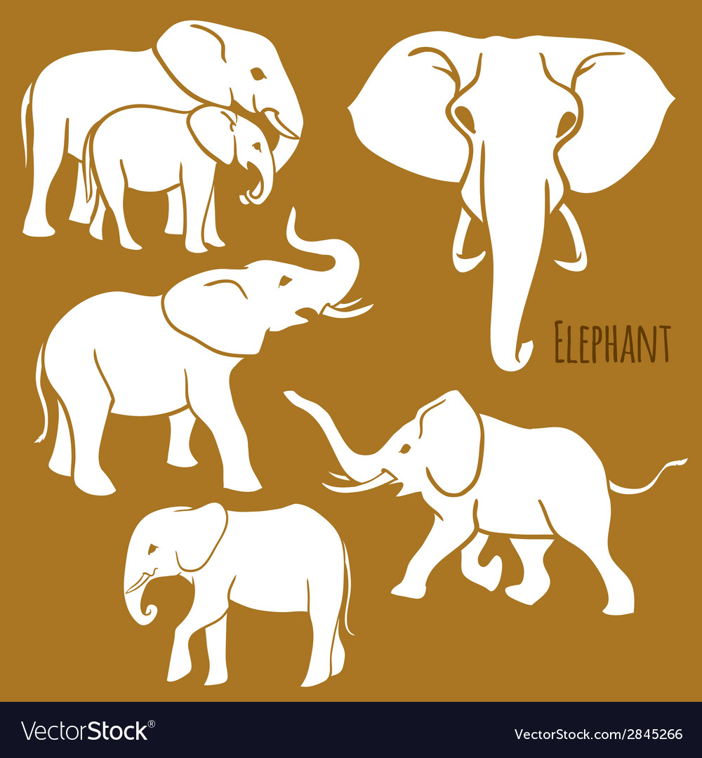 Set of african elephants in various poses