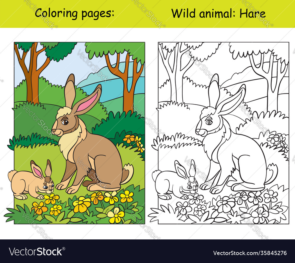 Coloring book page and color template hare