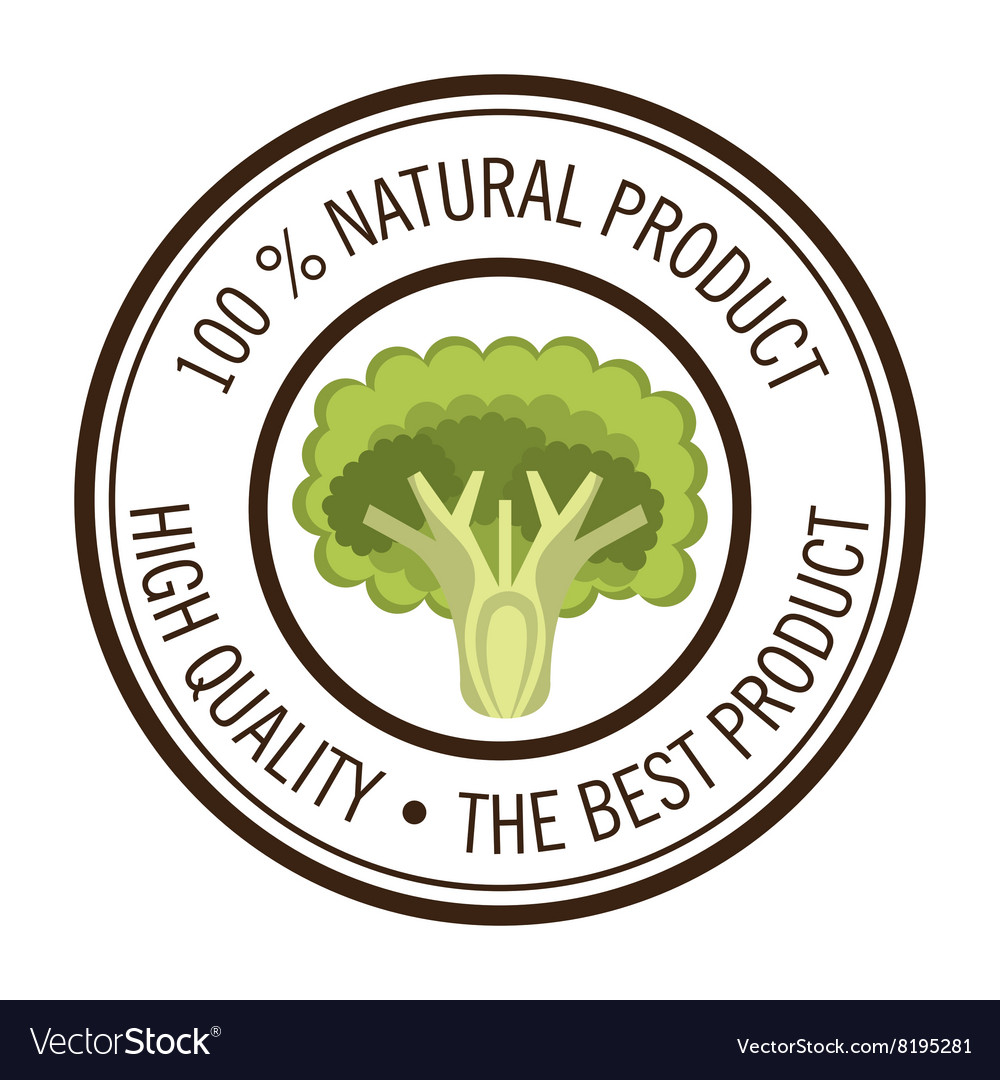 Healthy food design Royalty Free Vector Image - VectorStock