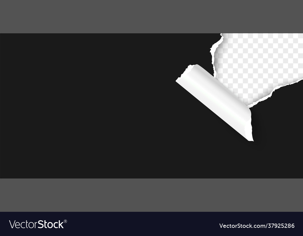 Black realistic torn paper corner with curl Vector Image