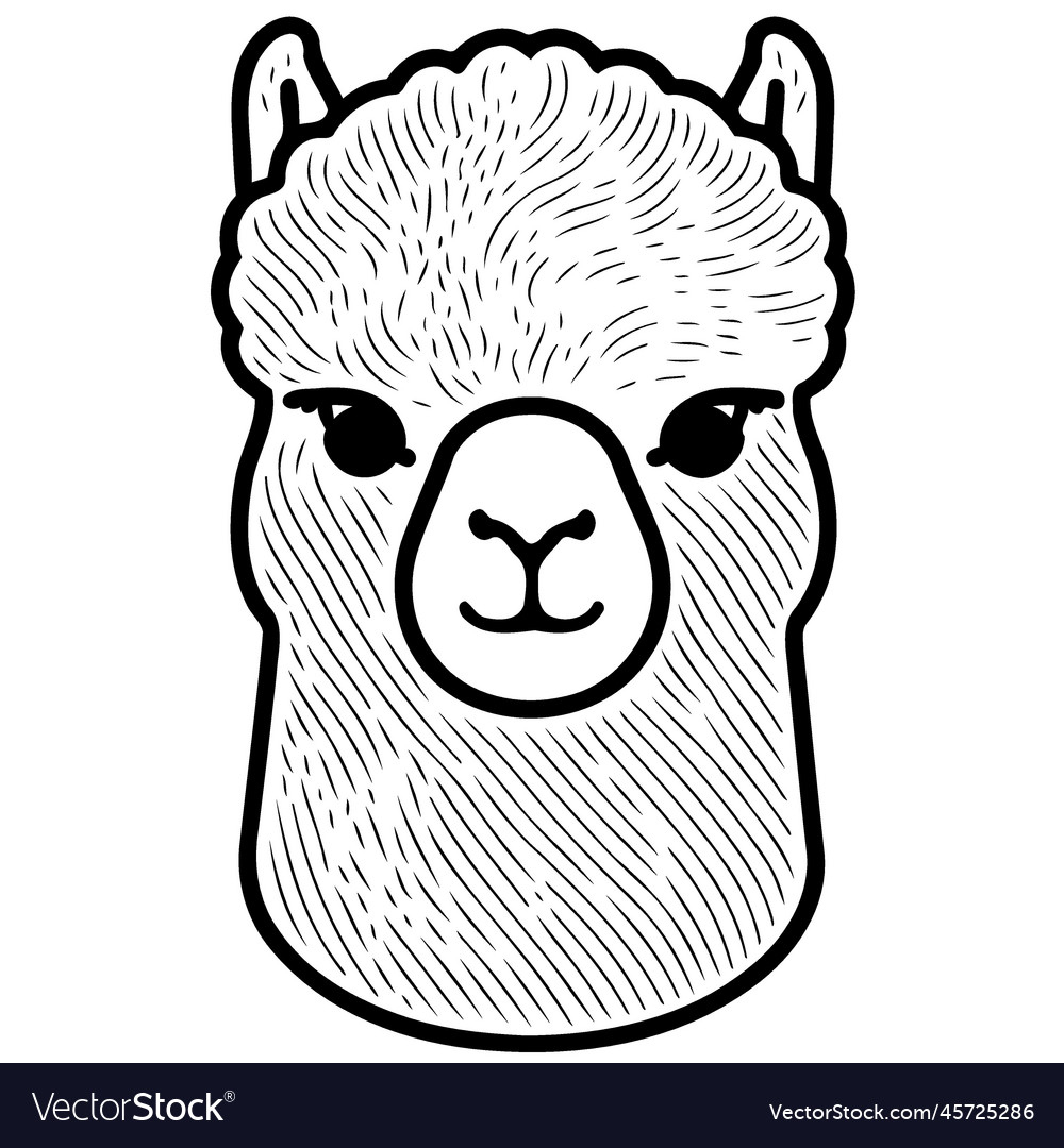 Camelid animal head called alpaca Royalty Free Vector Image