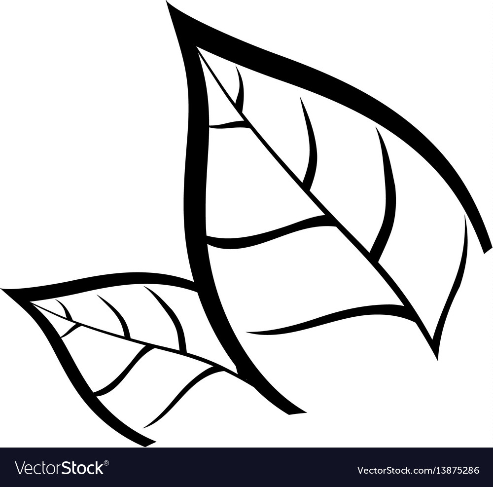 Leaves nature ecology Royalty Free Vector Image