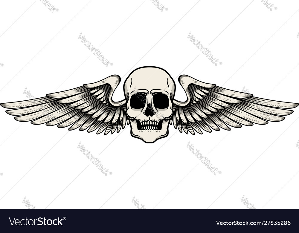 Winged skull in tattoo style isolated on white Vector Image