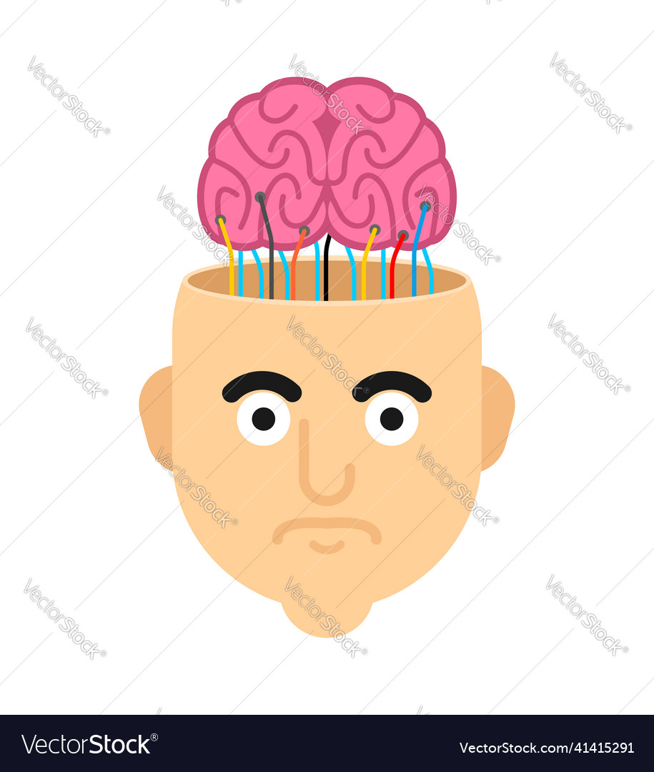 Brain in an open head with wires nerve cell