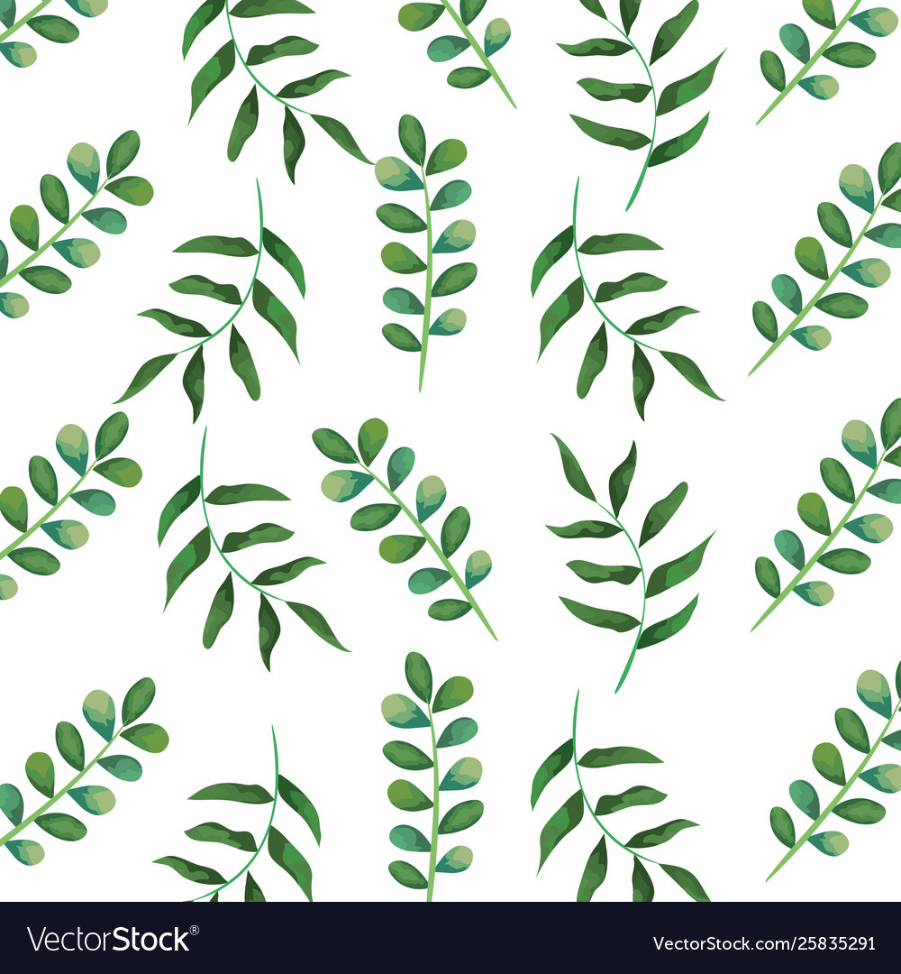 Branch with leafs plants pattern background vector image Branch with leafs plants pattern background