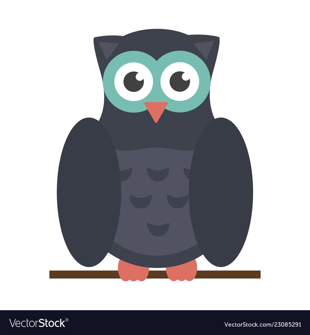 Owl bird cartoon