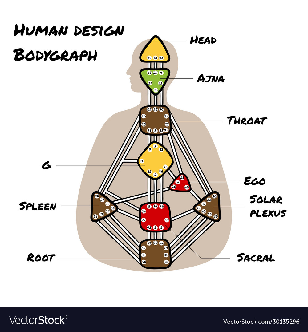 Nine energy centers head ajna throat ego