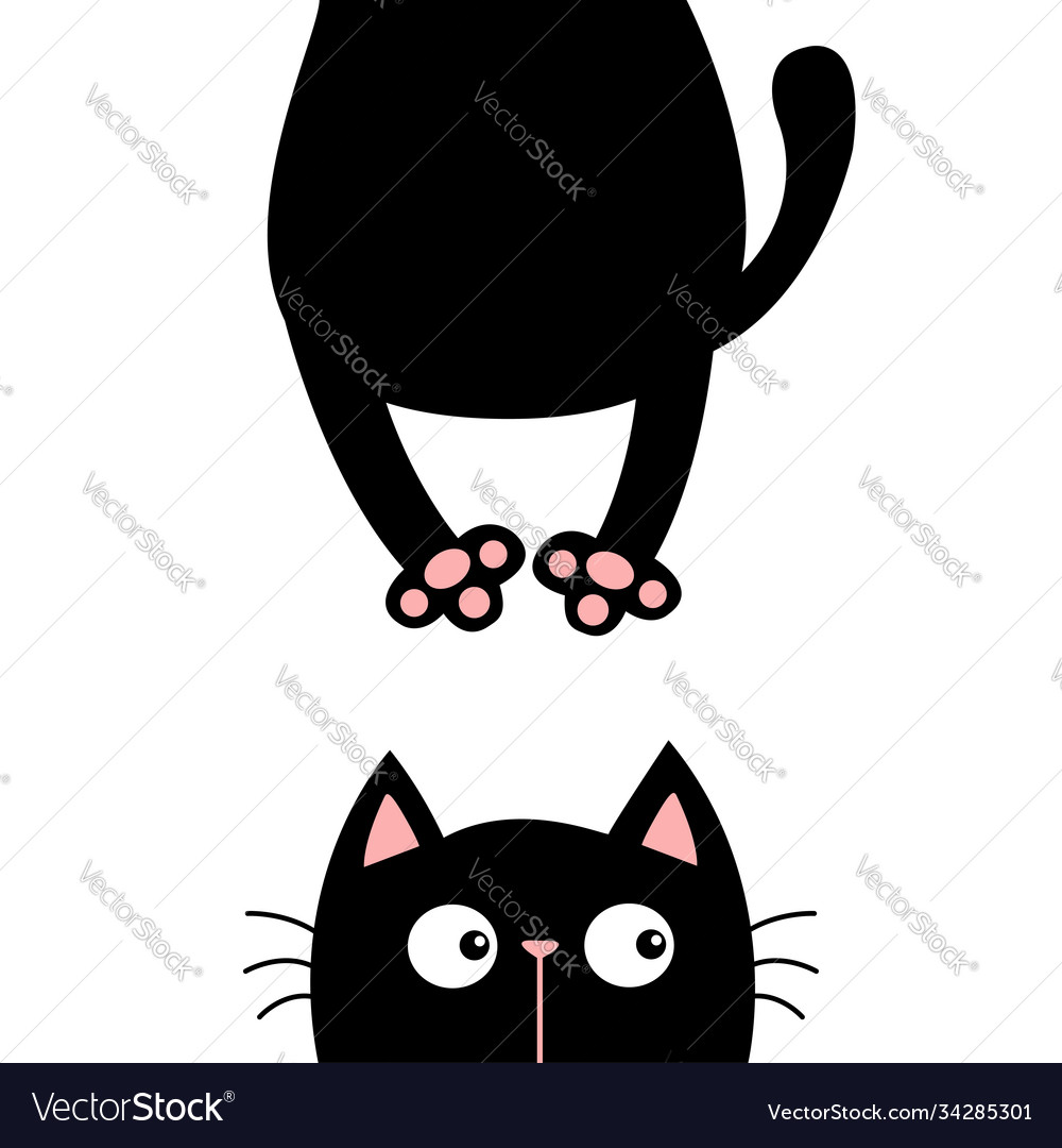 Black Round Fluffy Kitten Icon. Face Head Body, Tail. Cat Fat