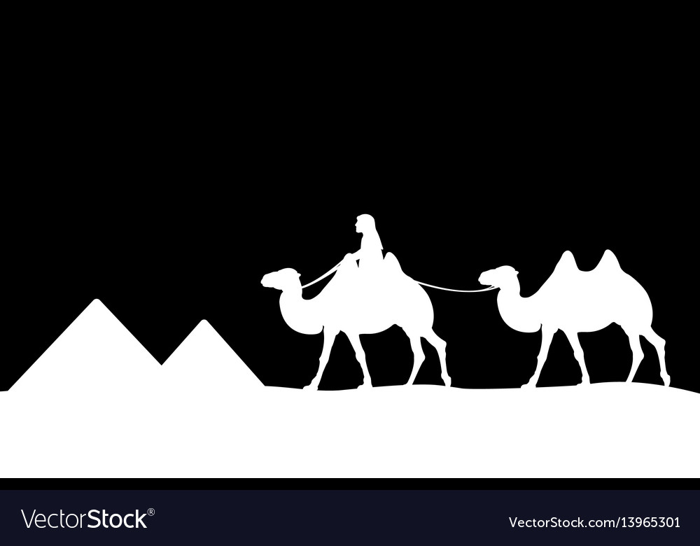 Man on the camel of pyramids