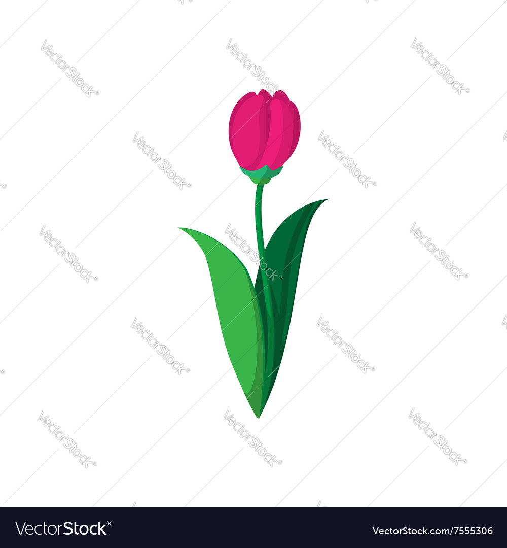 Tulip Cartoon Pictures