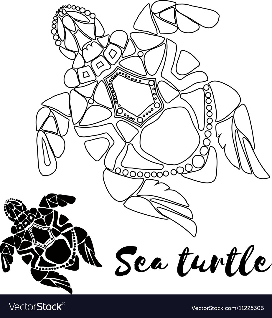 Sea turtle Royalty Free Vector Image - VectorStock