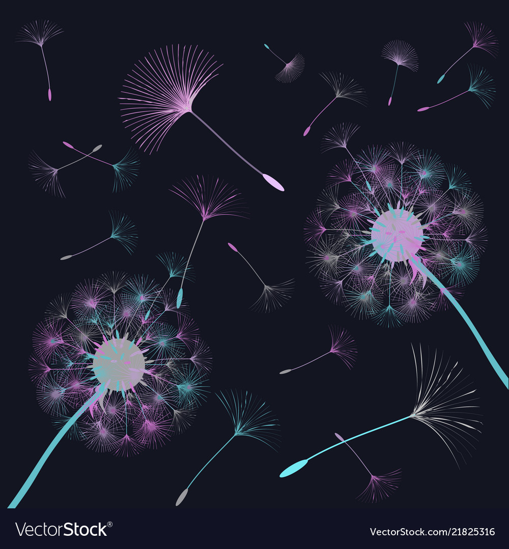Abstract background of a dandelion for design vector image Abstract background of a dandelion for design