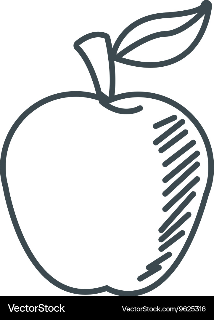 Apple with leaf icon Royalty Free Vector Image