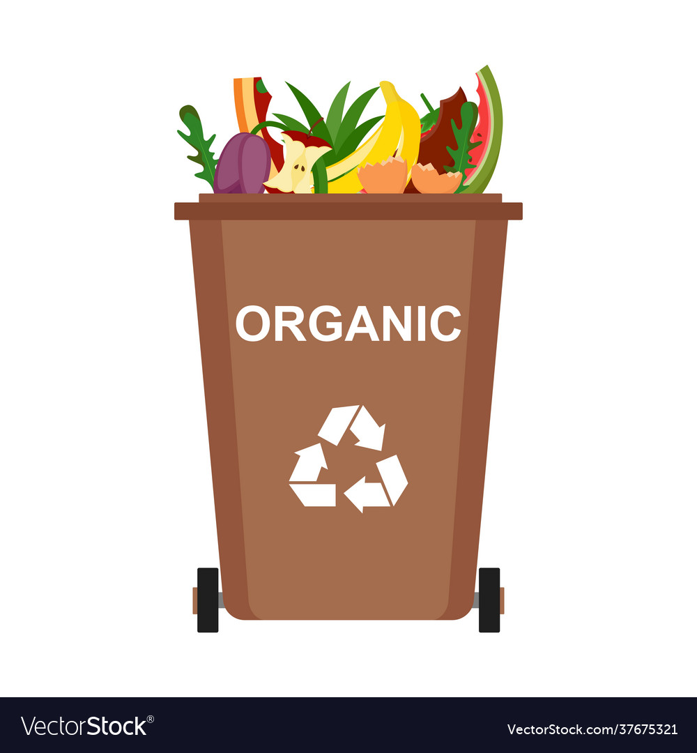 Garbage bin with organic waste recycling garbage Vector Image