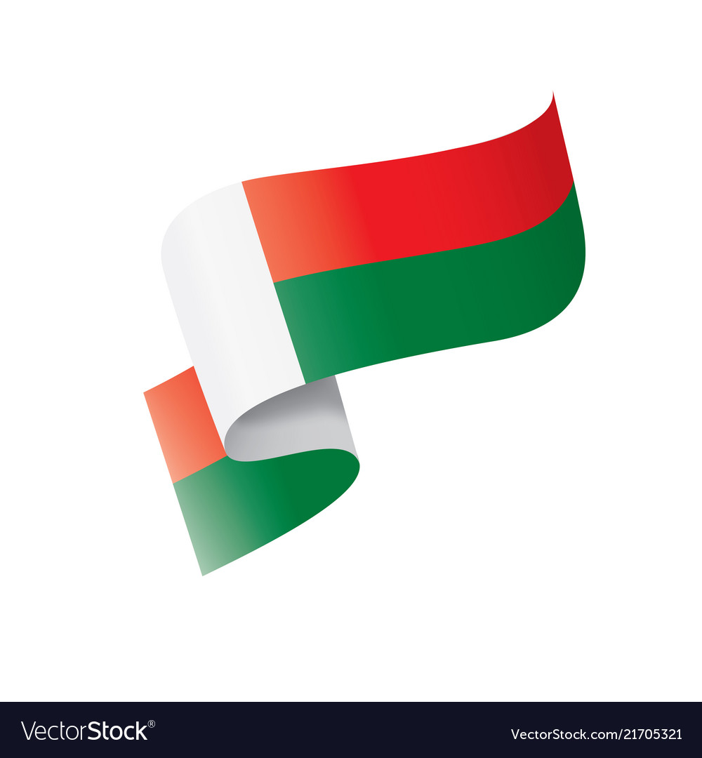 madagascar flag on a white royalty free vector image