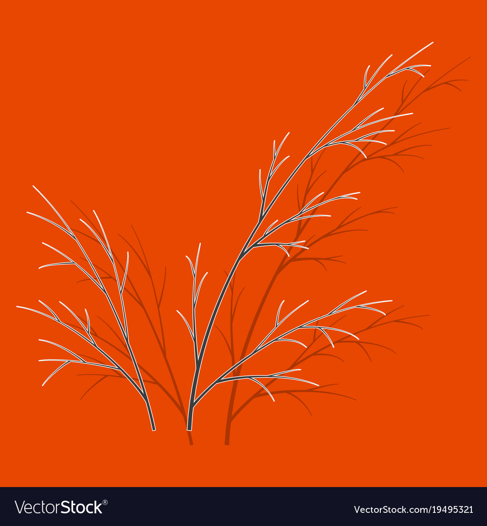 Sticker dill isolated hand drawing flavoring