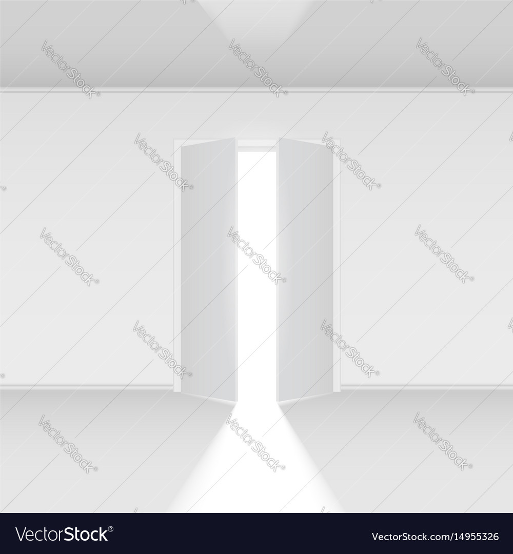 Double open door with light on white empty