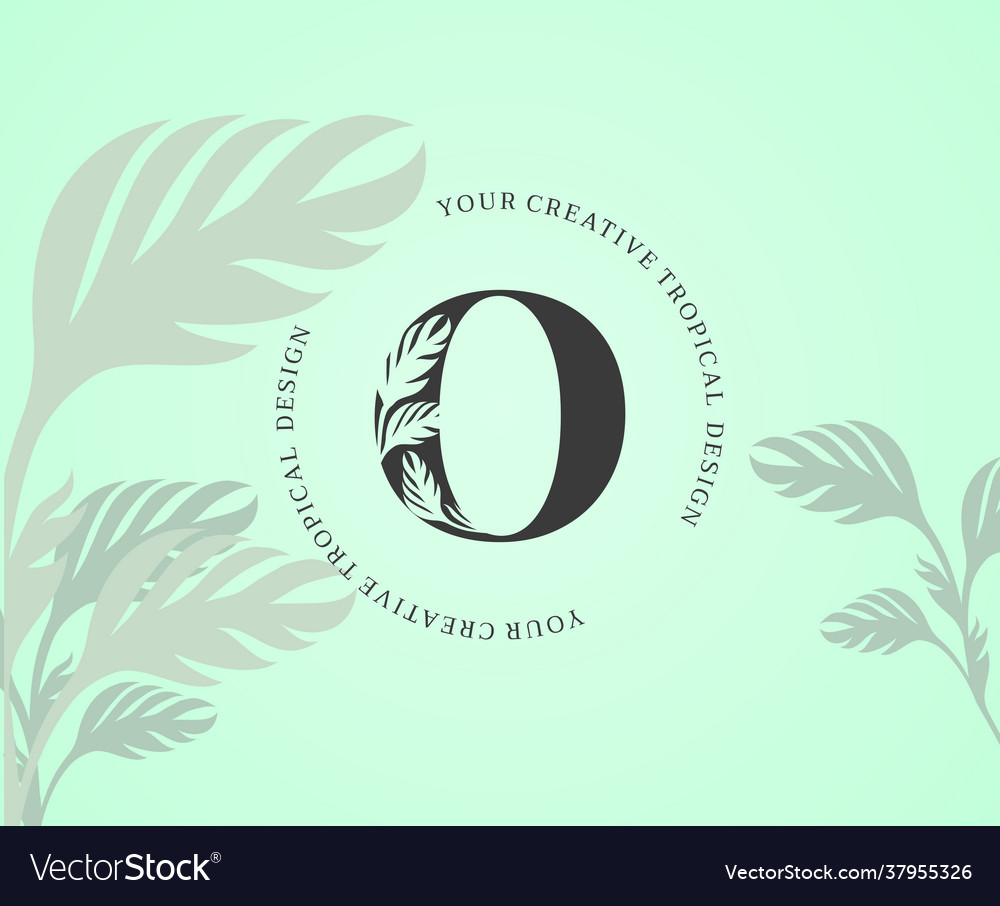 Exotic letter o logo with monstera plant leaf vector image Exotic letter o logo with monstera plant leaf