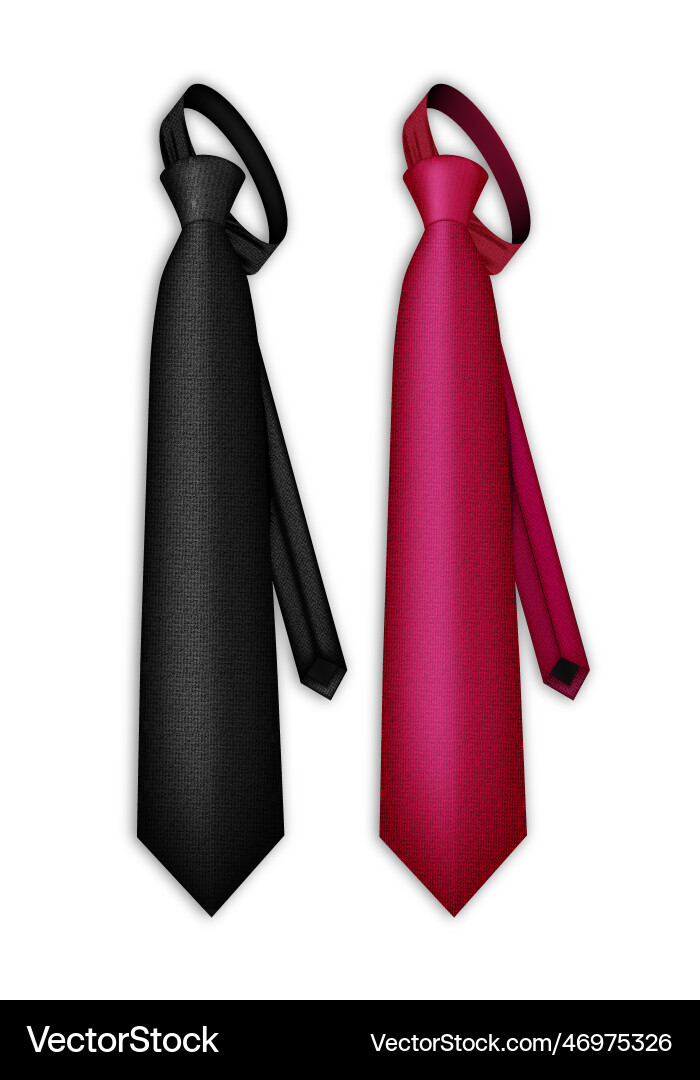 Mens color tie set silk tie patterns with a set Vector Image