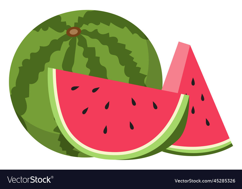 Watermelon cutted icon whole fruit and pieces Vector Image