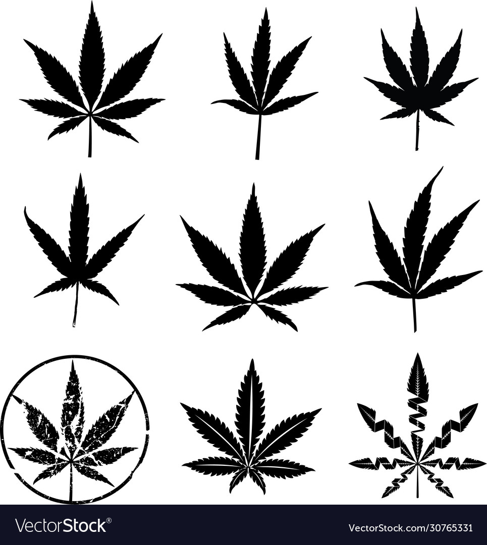 Cannabis marijuana leaf symbol in black color Vector Image