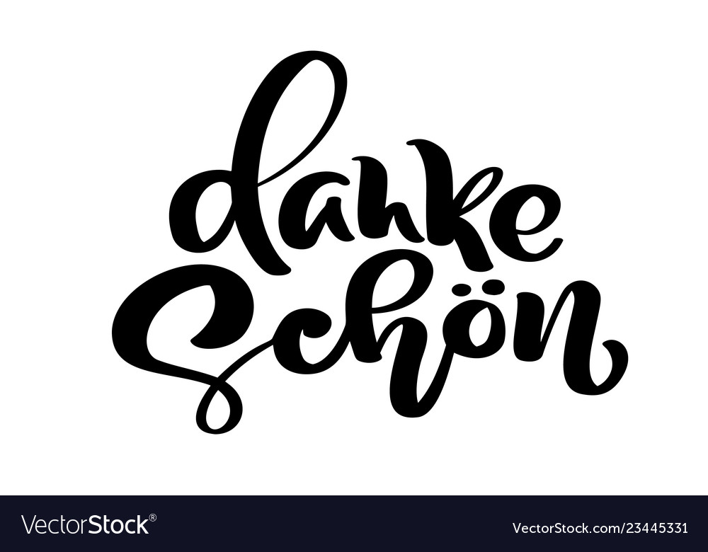 Hand drawn lettering danke schon elegant Vector Image