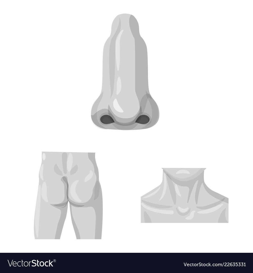 Human and part icon set vector image Human and part icon set