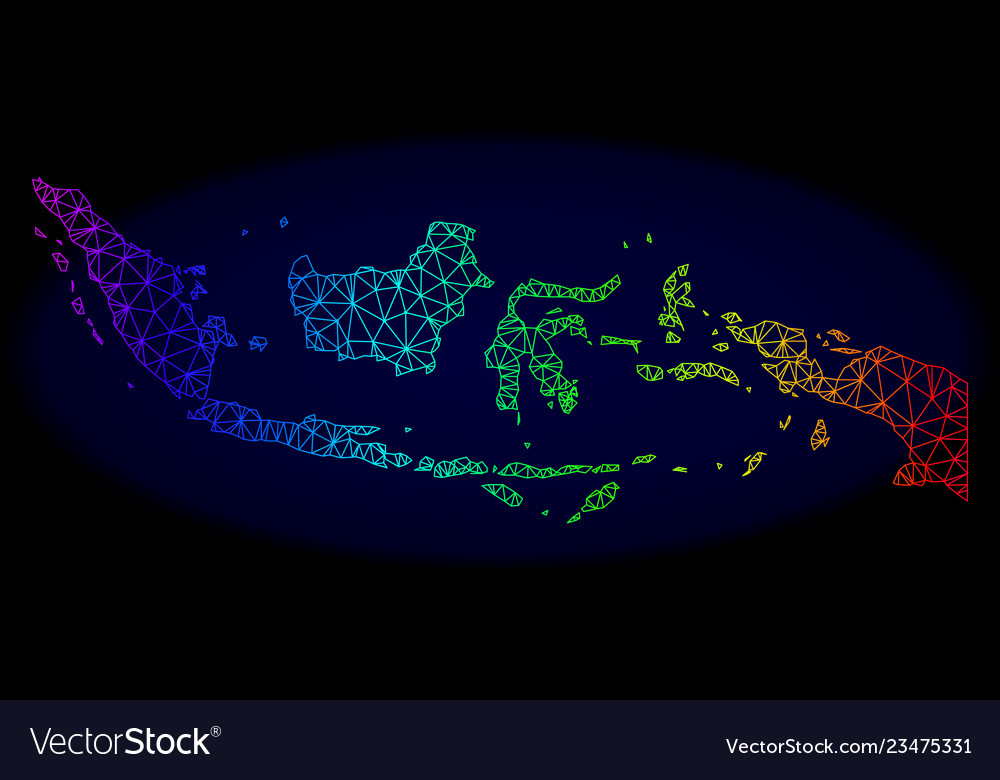 Polygonal wire frame spectrum mesh map vector image Polygonal wire frame spectrum mesh map
