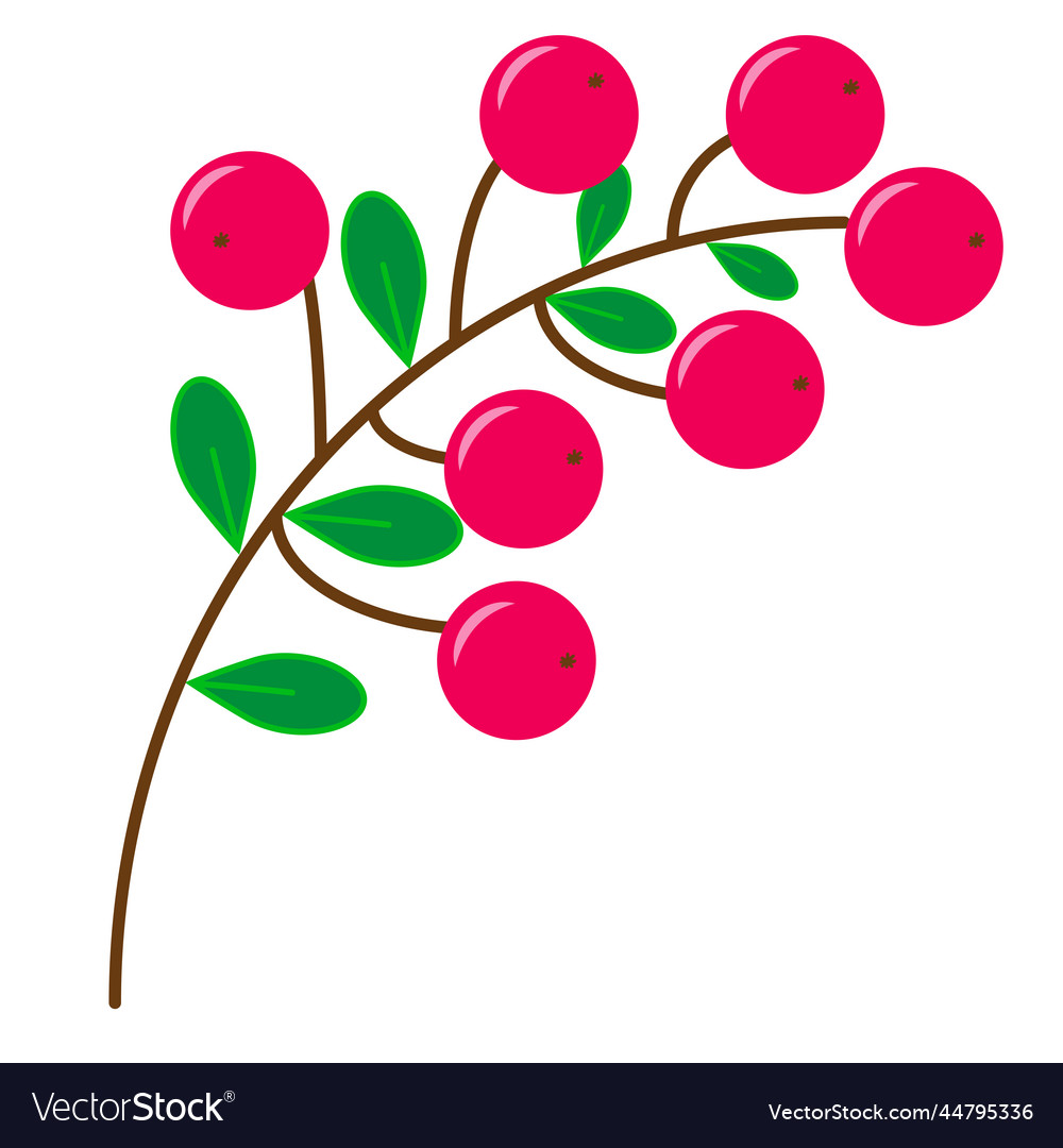 A sprig of red sweet cranberry berries Royalty Free Vector