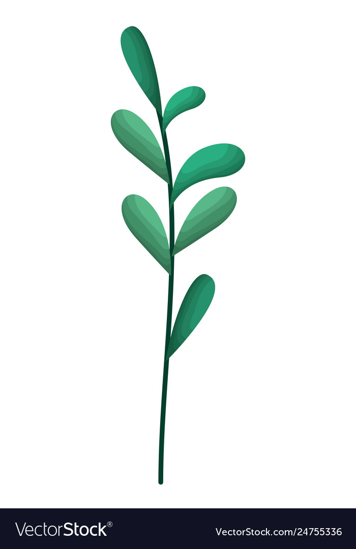 Branch with leafs isolated icon