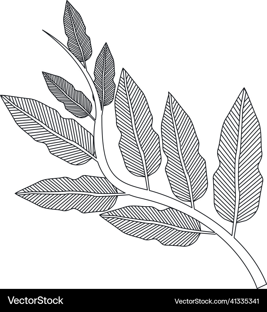 Branch with leafs Royalty Free Vector Image - VectorStock