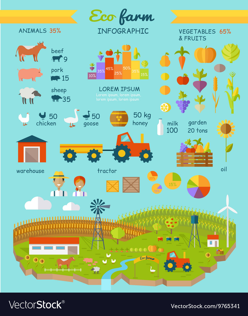 Eco farm infographic elements flat design