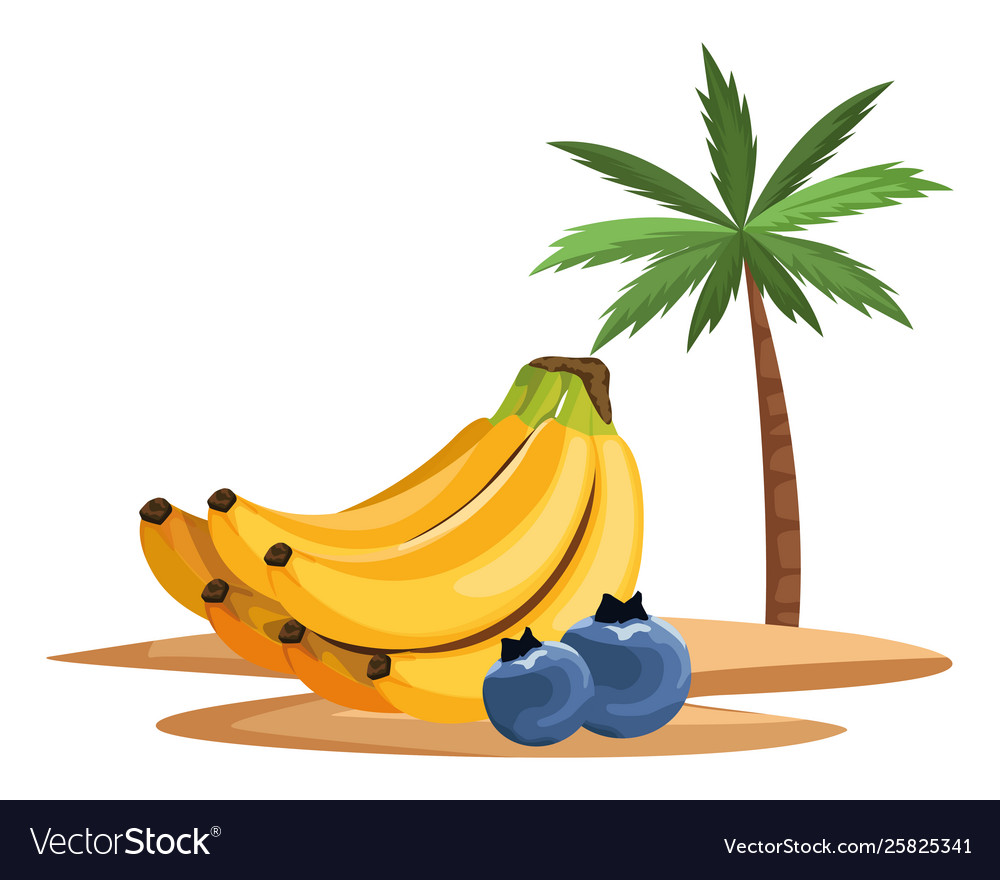 Exotic tropical fruit icon cartoon
