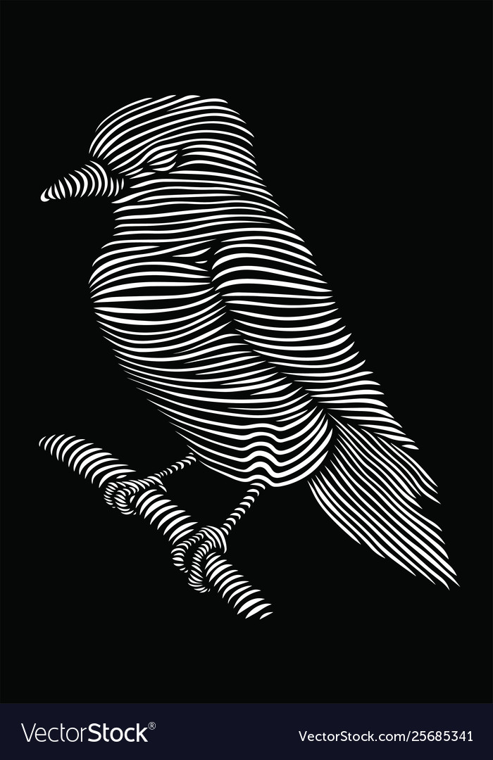 Line art bird on a black