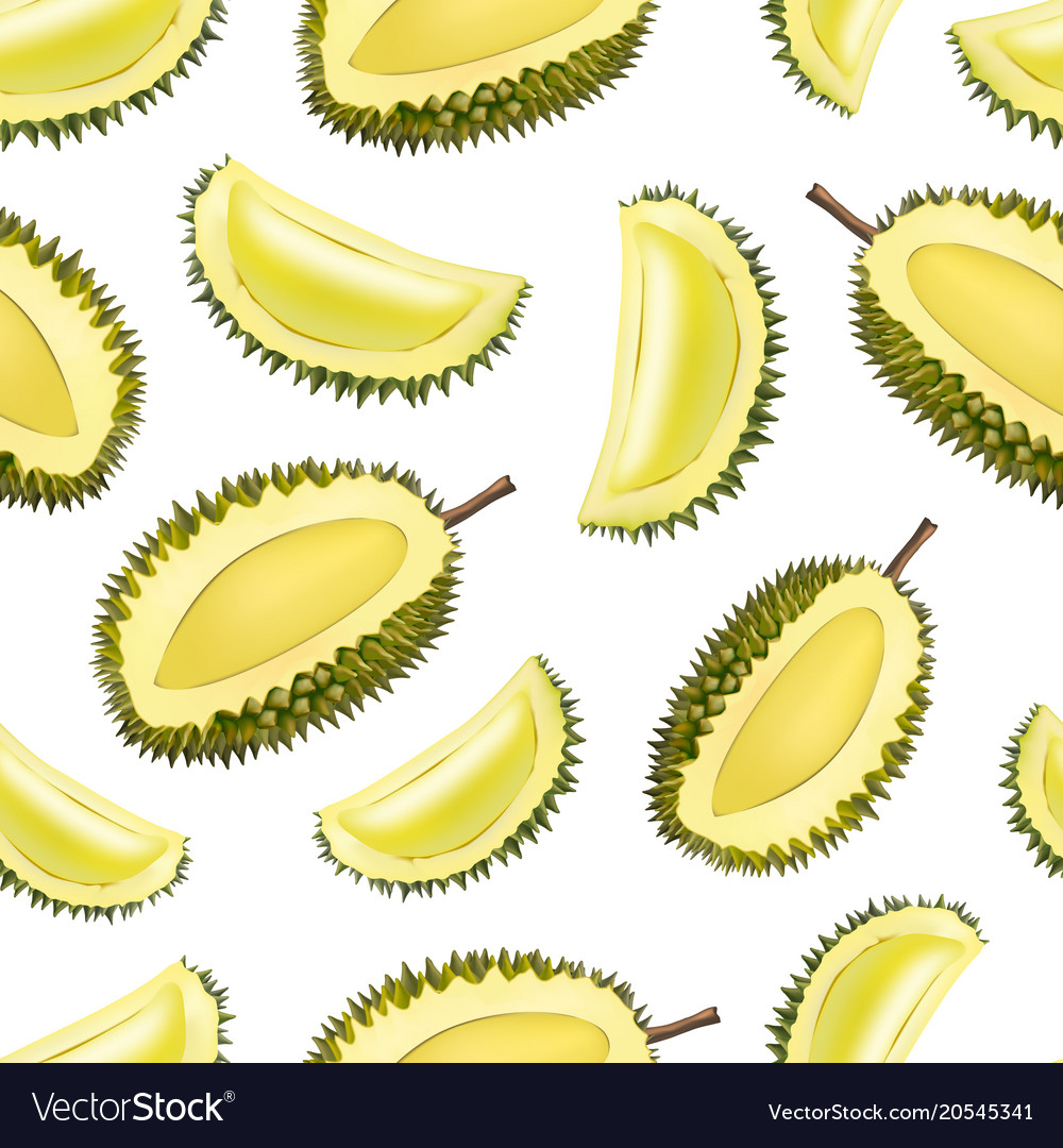 Realistic 3d detailed fruit durian seamless