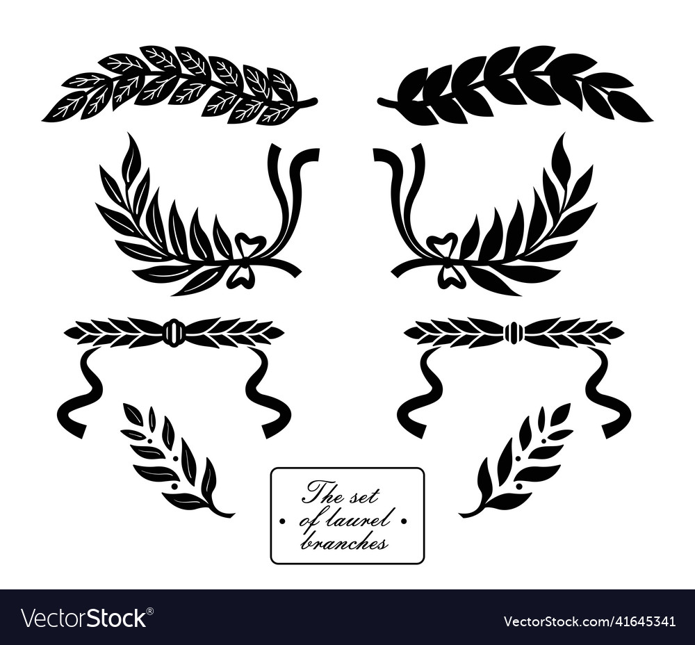 Set of laurel branches design elements