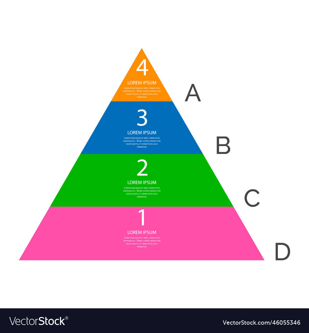 Infographic pyramid triangle diagram form of Vector Image