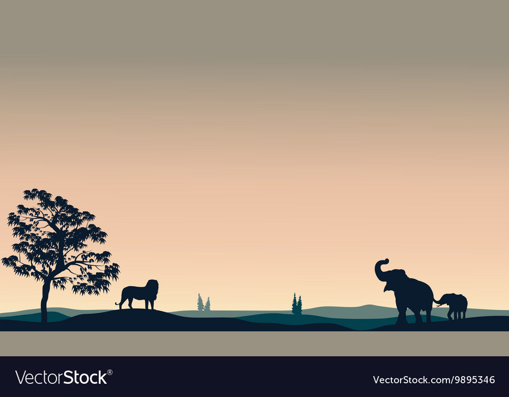 Silhouette of animals elephant lion