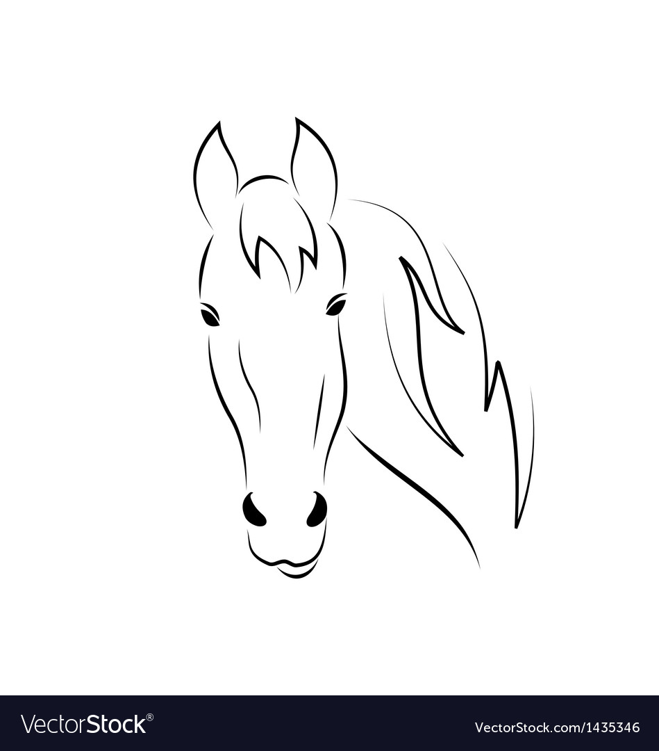 How to draw a horse's head | Drawing horses & ponies | Pony Magazine