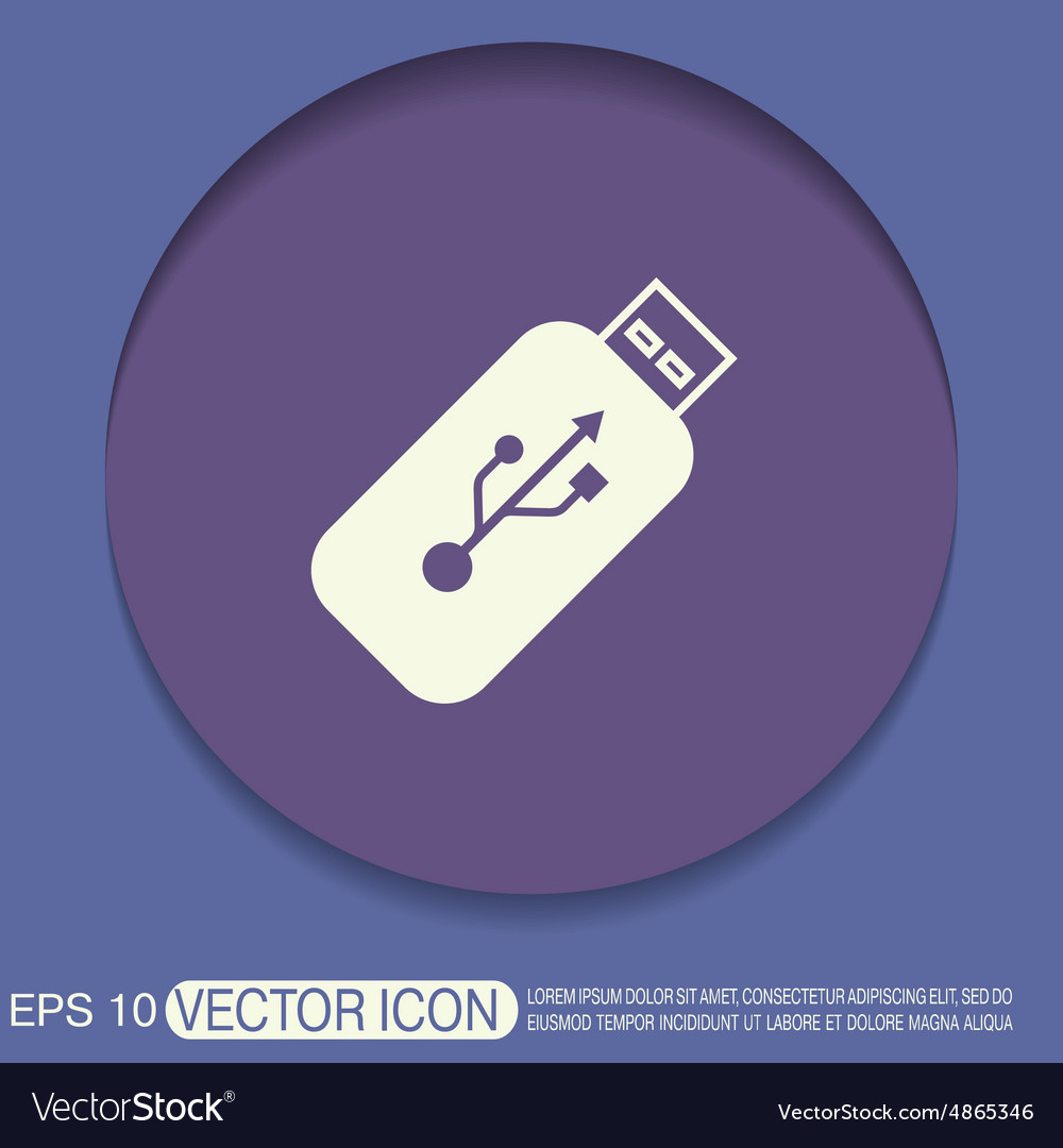 Usb flash icon disk