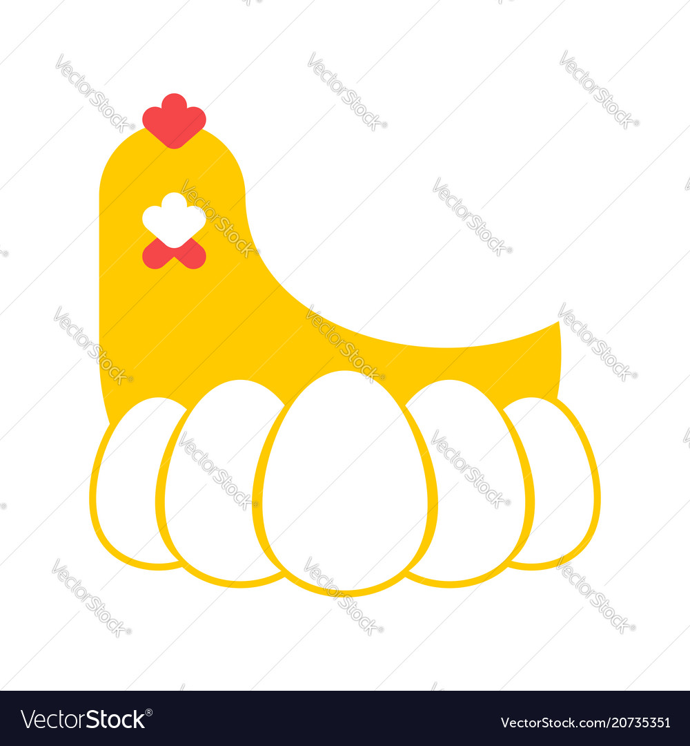 chicken egg production