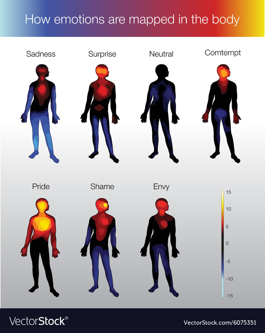 heat-map-of-the-human-body-depending-royalty-free-vector