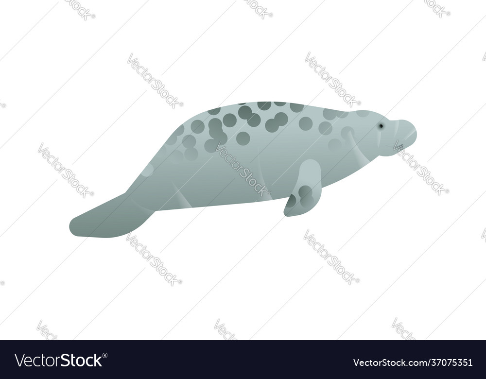Manatee sea cow animal isolated Royalty Free Vector Image Manatee sea cow animal isolated Royalty Free Vector Image