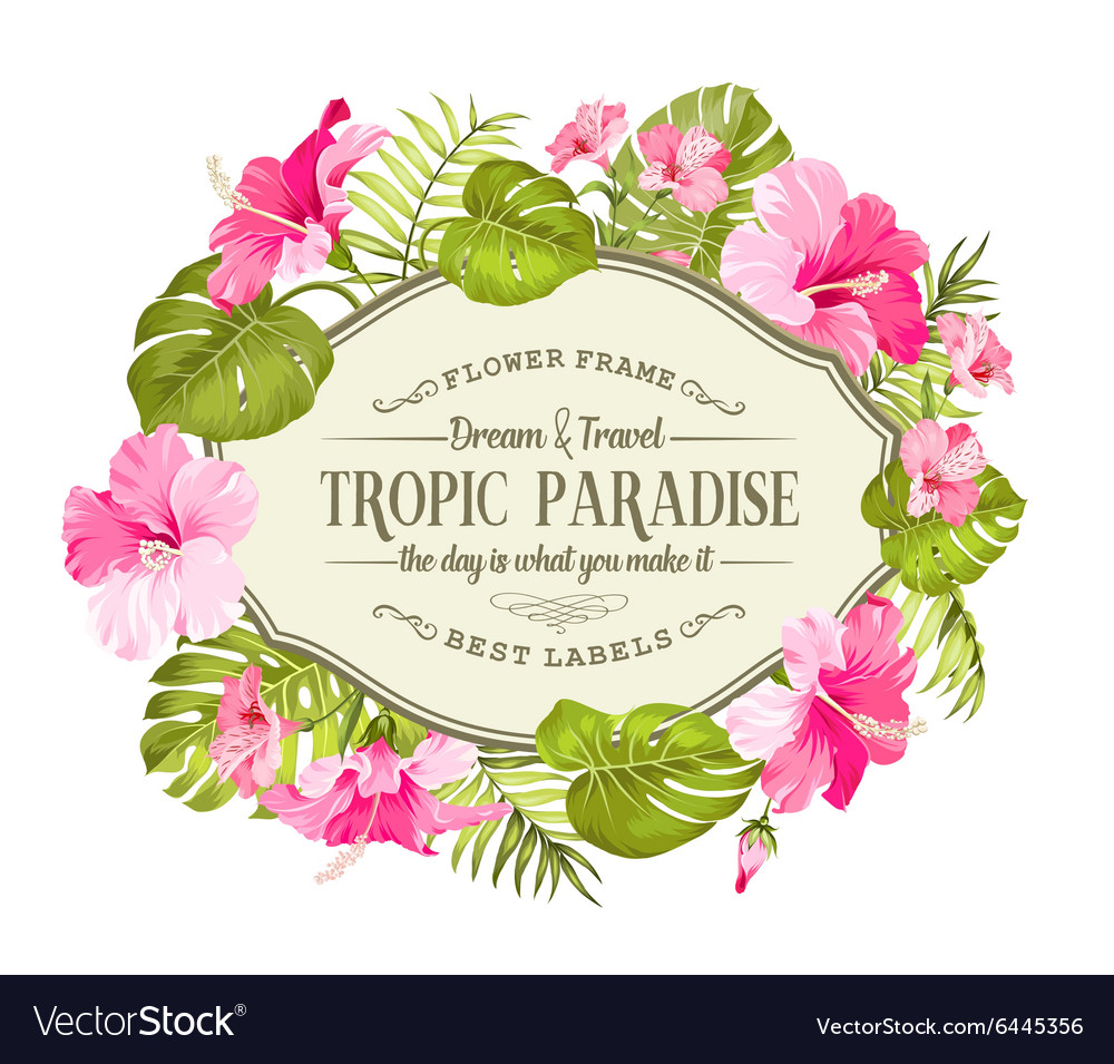 Beautiful tropic card Royalty Free Vector Image