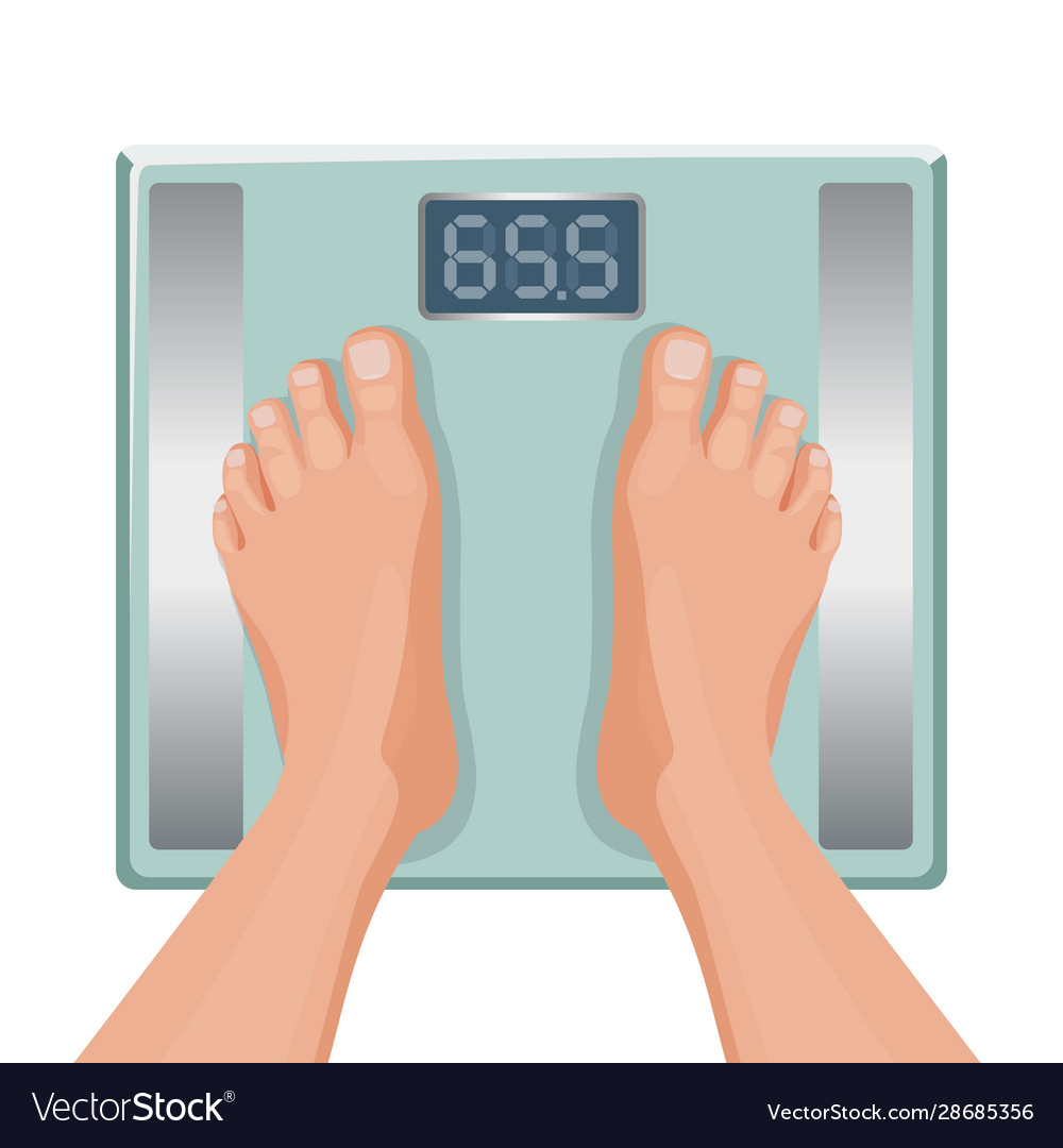 https://cdn2.vectorstock.com/i/1000x1000/53/56/gain-weight-concept-fat-female-foot-on-scale-vector-28685356.jpg