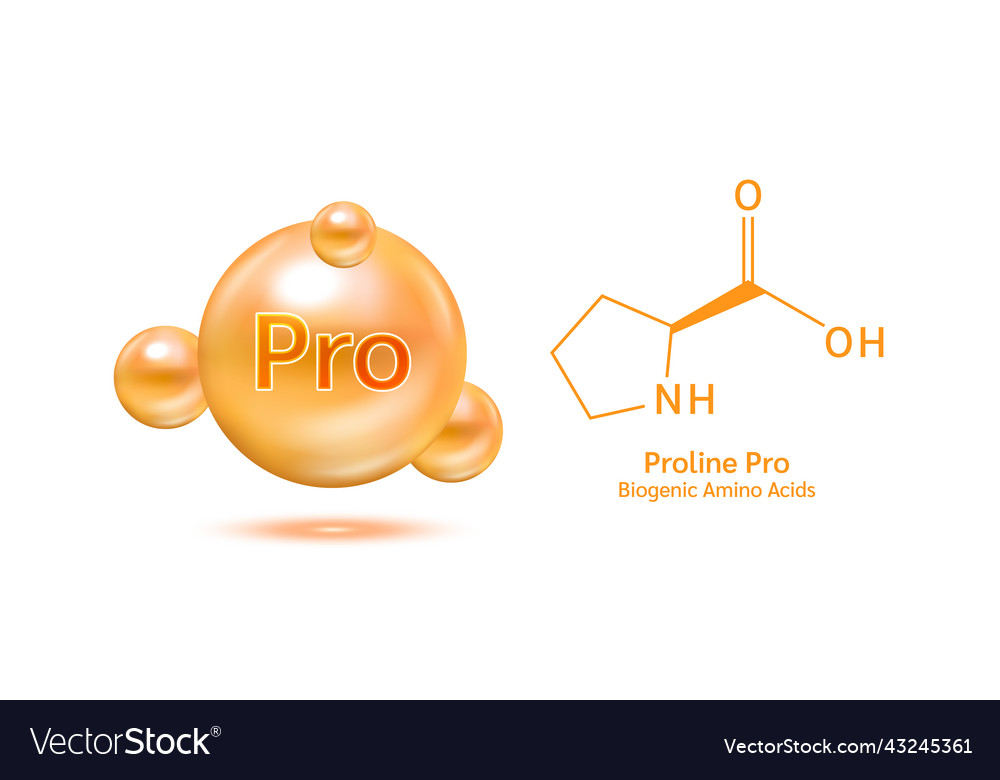 Important amino acid proline